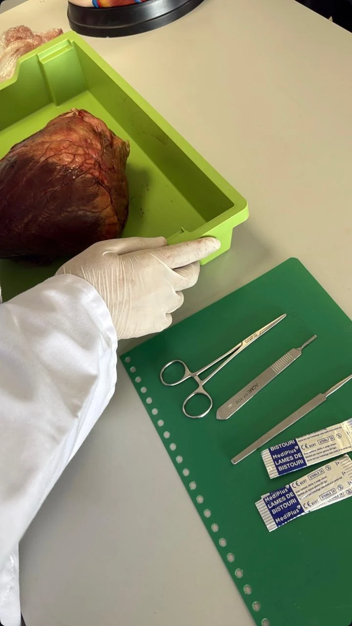 Biology practical learning